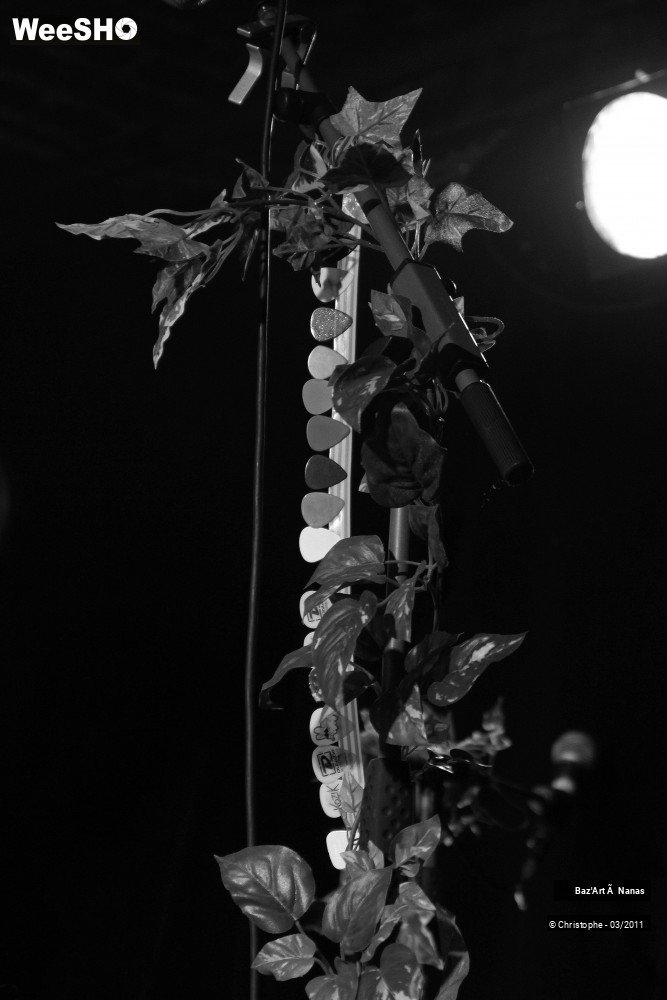 40/41 photos du spectacle Baz'art à Nanas